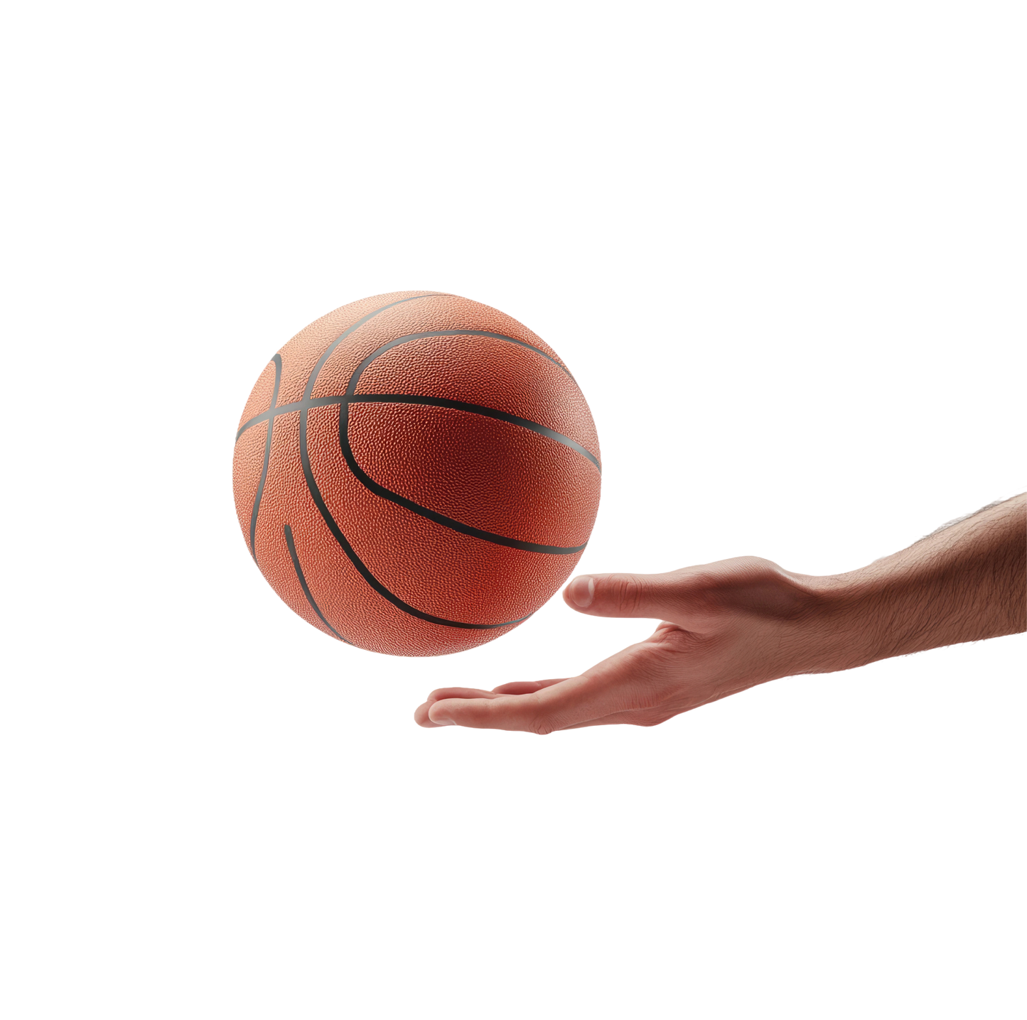 Court Basketball