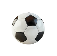 Soccer Ball