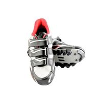 Rock Steady Walkers