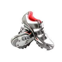 Rock Steady Walkers