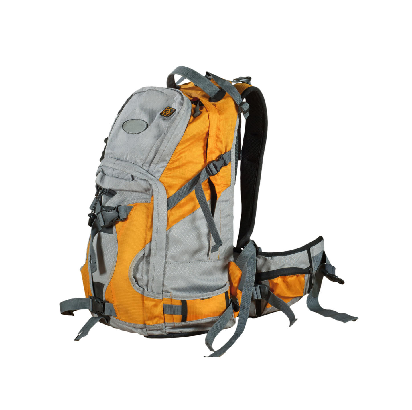 Trek Backpack