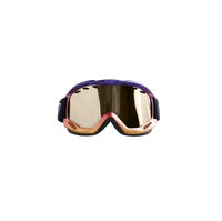 Polar Insulate Goggles