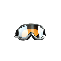 Polar Insulate Goggles