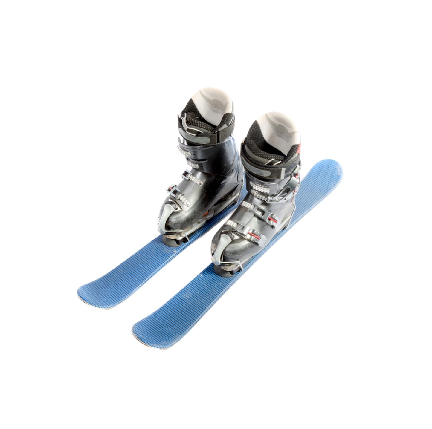 Forest Edge Skis