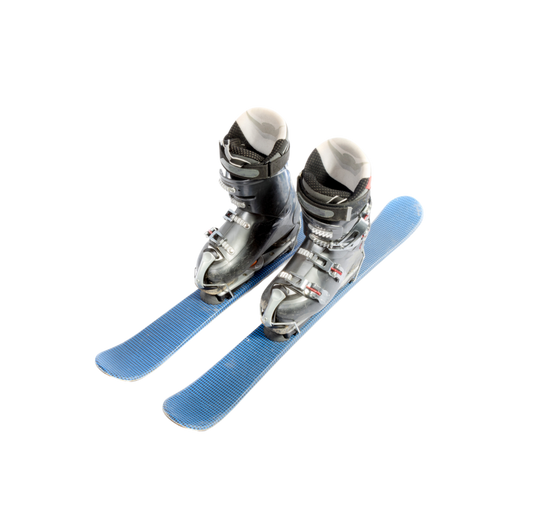 Forest Edge Skis