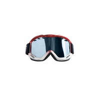 Polar Insulate Goggles
