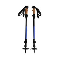 Glide Poles