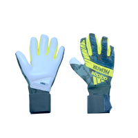 Pro Goalie Gloves