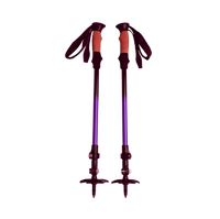 Glide Poles