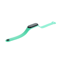 Stride Fitness Band