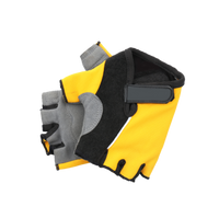 Trail Climber Gloves